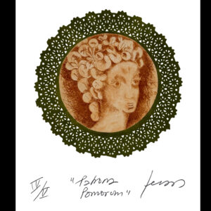 Patrona Pomorum - Imagen 2