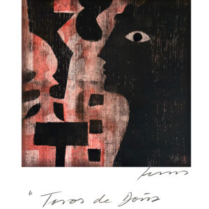 Toros de Doña Lidia