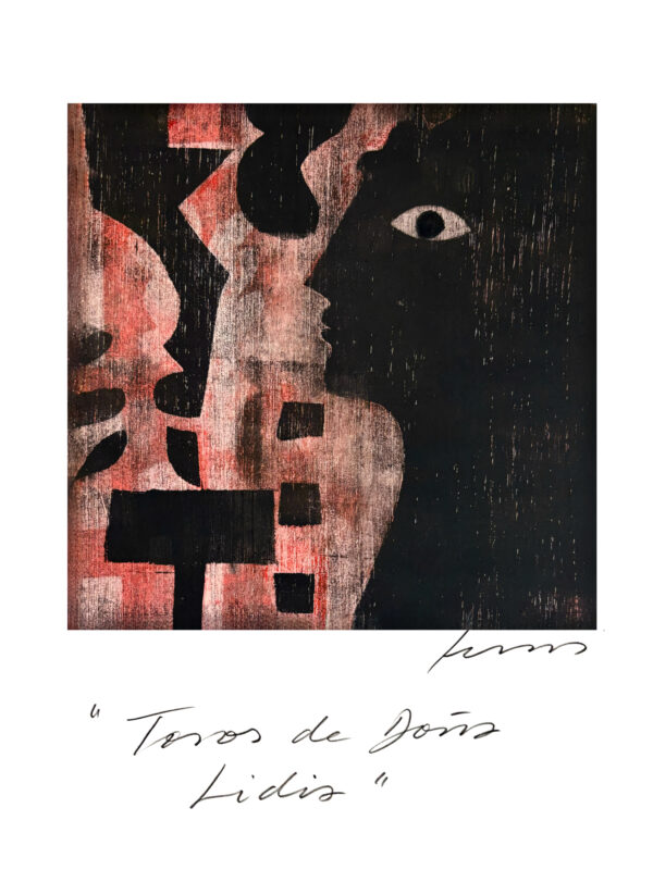 Toros de Doña Lidia
