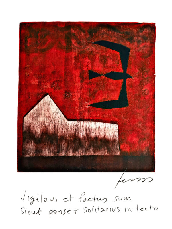 Vigilavi et factus